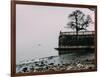 Unidentified woman looking at Lake Maggiore on a cold winter's day, Piedmont, Italian Lakes, Italy,-Alexandre Rotenberg-Framed Photographic Print