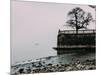 Unidentified woman looking at Lake Maggiore on a cold winter's day, Piedmont, Italian Lakes, Italy,-Alexandre Rotenberg-Mounted Photographic Print