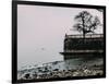 Unidentified woman looking at Lake Maggiore on a cold winter's day, Piedmont, Italian Lakes, Italy,-Alexandre Rotenberg-Framed Photographic Print