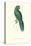 Uniform Parakeet - Cyanoramphus Unicolor-Edward Lear-Stretched Canvas
