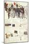 Uniform Variations of Great Manoeuvres Campaign of Kingdom of Italy-null-Mounted Giclee Print