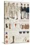 Uniform Variations of Kingdom of Italy, 1906-null-Stretched Canvas