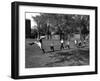 Uniformed Drum Major For University of Michigan Marching Band Practicing His High Kicking Prance-Alfred Eisenstaedt-Framed Photographic Print