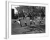 Uniformed Drum Major For University of Michigan Marching Band Practicing His High Kicking Prance-Alfred Eisenstaedt-Framed Photographic Print