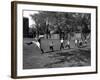 Uniformed Drum Major For University of Michigan Marching Band Practicing His High Kicking Prance-Alfred Eisenstaedt-Framed Photographic Print