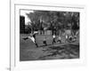 Uniformed Drum Major For University of Michigan Marching Band Practicing His High Kicking Prance-Alfred Eisenstaedt-Framed Photographic Print