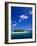 Uninhabited Tropical Island, Ari Atoll, Maldives-Stuart Westmorland-Framed Photographic Print