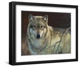 Uninterrupted Stare: Gray Wolf-Joni Johnson-godsy-Framed Art Print