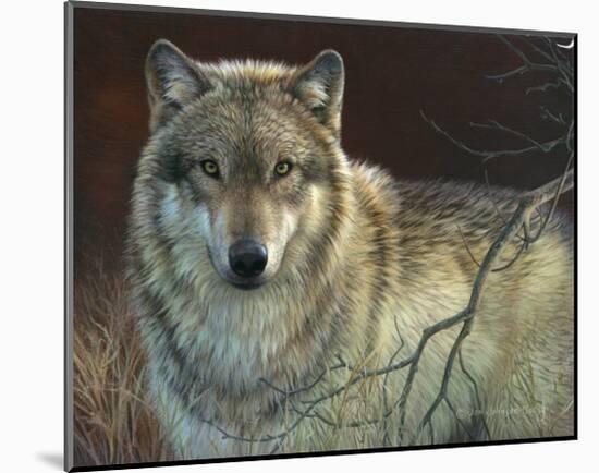 Uninterrupted Stare: Gray Wolf-Joni Johnson-godsy-Mounted Art Print