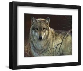 Uninterrupted Stare: Gray Wolf-Joni Johnson-godsy-Framed Giclee Print