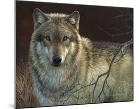 Uninterrupted Stare - Gray Wolf-Joni Johnson-godsy-Mounted Art Print