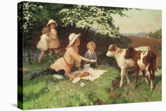 Uninvited Guests-Percy Tarrant-Stretched Canvas