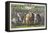 Union and Confederate Generals and Statesmen of the Civil War-null-Framed Stretched Canvas