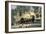 Union Charge across Burnside Bridge over Antietam Creek, Civil War, 1862-null-Framed Giclee Print