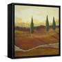 Union County Fields II-Herb Dickinson-Framed Stretched Canvas