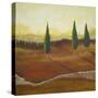 Union County Fields II-Herb Dickinson-Stretched Canvas