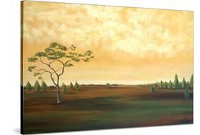 Union County Fields III-Herb Dickinson-Stretched Canvas