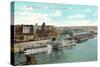 Union Depot and Docks, St. Paul, Minnesota-null-Stretched Canvas