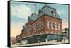 Union Depot, Chicago, Illinois-null-Framed Stretched Canvas