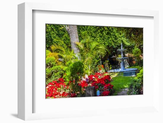 Union Garden Jardin Fountain, Guanajuato, Mexico-William Perry-Framed Photographic Print