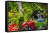 Union Garden Jardin Fountain, Guanajuato, Mexico-William Perry-Framed Stretched Canvas