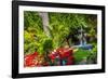 Union Garden Jardin Fountain, Guanajuato, Mexico-William Perry-Framed Photographic Print