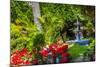 Union Garden Jardin Fountain, Guanajuato, Mexico-William Perry-Mounted Photographic Print