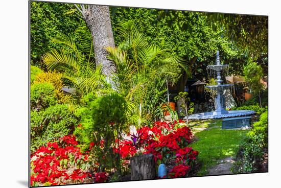 Union Garden Jardin Fountain, Guanajuato, Mexico-William Perry-Mounted Premium Photographic Print