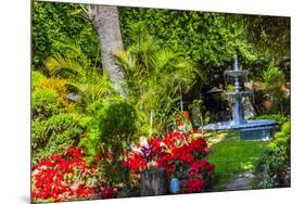Union Garden Jardin Fountain, Guanajuato, Mexico-William Perry-Mounted Premium Photographic Print