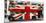 Union jack double-decker bus, London-Pangea Images-Mounted Art Print