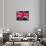 Union Jack Flag of the United Kingdom-null-Framed Stretched Canvas displayed on a wall