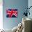 Union Jack Flag of the United Kingdom-null-Photographic Print displayed on a wall