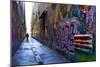 Union Lane-Wayne Bradbury-Mounted Photographic Print