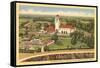 Union Pacific Depot, Boise, Idaho-null-Framed Stretched Canvas