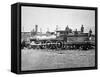 Union Pacific Locomotive No.119 That Pulled the Special Train to the Golden Spike, Utah, c.1869-null-Framed Stretched Canvas