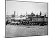 Union Pacific Locomotive No.119 That Pulled the Special Train to the Golden Spike, Utah, c.1869-null-Mounted Photographic Print