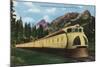 Union Pacific Streamliner Passing Mountains-Lantern Press-Mounted Art Print