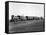 Union Pacific Train Passing-null-Framed Stretched Canvas