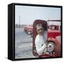 Union President Jimmy Hoffa's Image Reflected in Rear View Mirror in Red Truck-Hank Walker-Framed Stretched Canvas