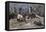 Union Soldiers Held as Prisoners of War at Andersonville Prison Camp during the Civil War-null-Framed Stretched Canvas