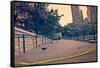 Union Square, NYC-null-Framed Stretched Canvas