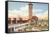 Union Station, Dayton, Ohio-null-Framed Stretched Canvas