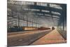 Union Station, St. Louis, Missouri-null-Mounted Premium Giclee Print