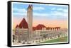 Union Station, St. Louis, Missouri-null-Framed Stretched Canvas