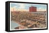 Union Stockyards, Omaha, Nebraska-null-Framed Stretched Canvas