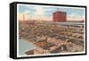 Union Stockyards, Omaha, Nebraska-null-Framed Stretched Canvas