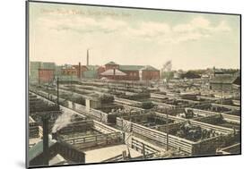 Union Stockyards, Omaha, Nebraska-null-Mounted Art Print