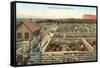 Union Stockyards, Portland-null-Framed Stretched Canvas