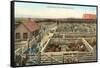 Union Stockyards, Portland-null-Framed Stretched Canvas