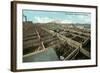 Union Stockyards, Wichita-null-Framed Art Print